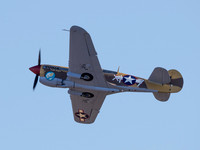 Curtiss P-40F Warhawk BU 41-19841 Lee's Hope
