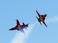 Patrouille Swiss Display Team Northrop F-5E Tiger II