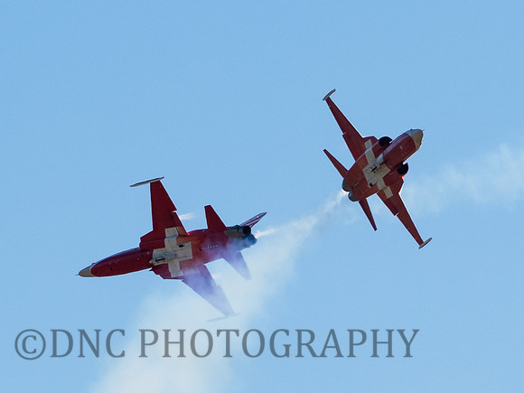 Patrouille Swiss Display Team Northrop F-5E Tiger II
