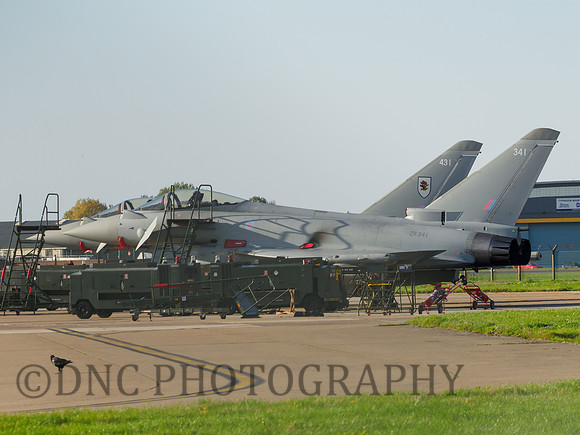 Typhoon's ZK431 & ZK341 XI Squadron