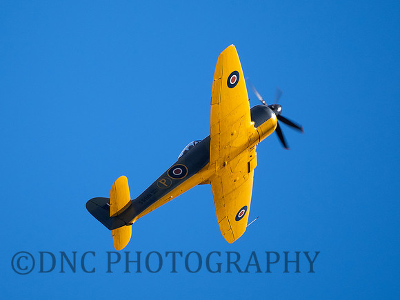 Hawker Fury Mk.II SR611