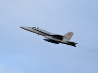 Swiss Air Force FA-18C Hornet J5005