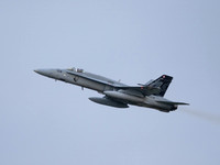 Swiss Air Force FA-18C Hornet J5018 Panthers
