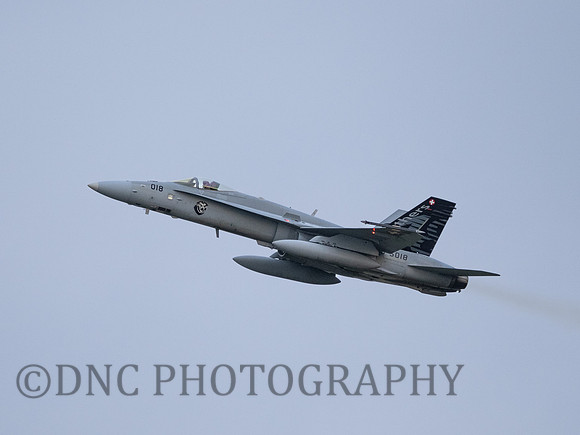 Swiss Air Force FA-18C Hornet J5018 Panthers