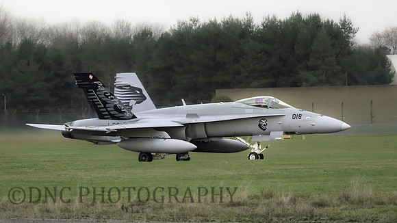 Swiss Air Force FA-18C Hornet J5018 Panthers