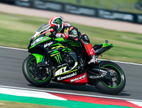 Jonathan Rea Kawasaki ZX-10RR