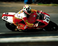 Rob Holden Sports Motorcycles Ducati 955