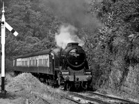 8F 48305 climbs towards Goathland station 26th September m