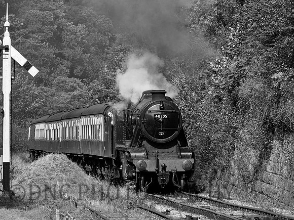 8F 48305 climbs towards Goathland station 26th September m