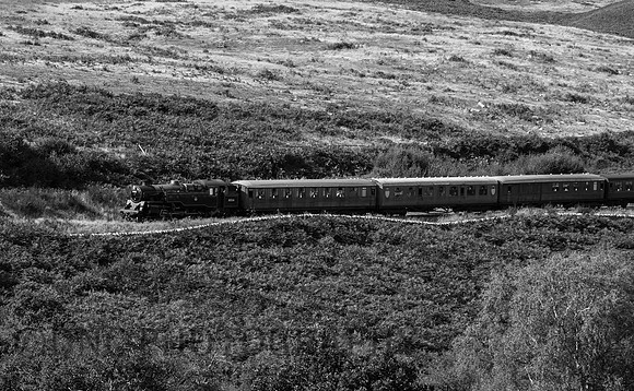 Std 4 2.6.4T 80136 passes Moorgates 23rd September