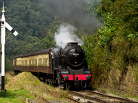 8F 48305 climbs towards Goathland station 26th September
