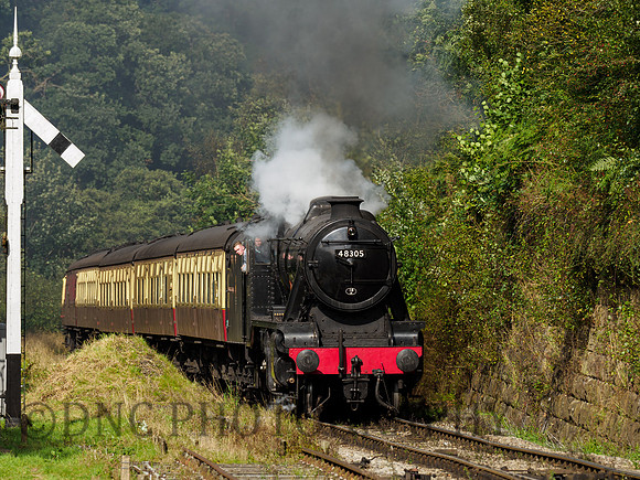 8F 48305 climbs towards Goathland station 26th September