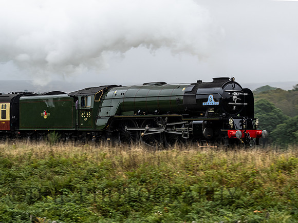 A1 60163 'Tornado' passes Moorgates 26th September