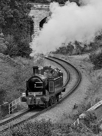 Lambton Tank 29 'Peggy' 24th September