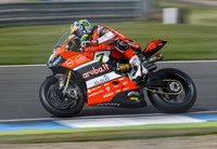 Chas Davies Ducati Panigale R