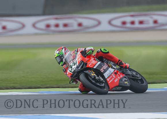 Davida Giugliano Ducati Panigale R
