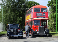 Taxi or Bus