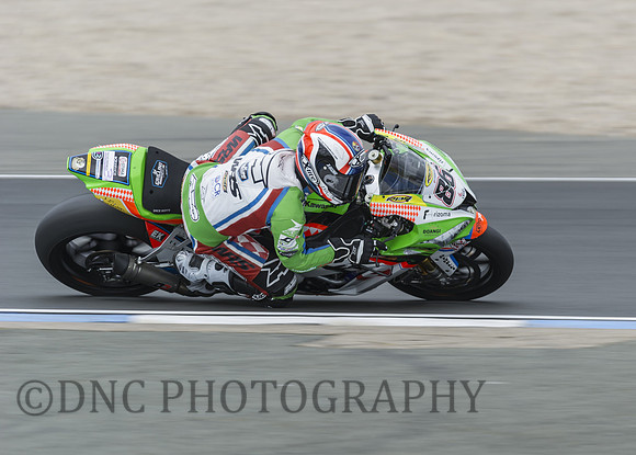 Ayrton Badovini Grillini Racing Team Kawasaki ZX-10RR