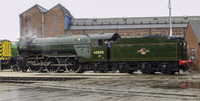LNER V2 60800 Green Arrow