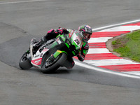 Alex Lowes KRT Kawasaki ZX-10RR