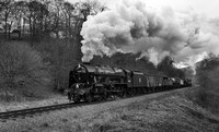 LMS 46100 Royal Scot approaches Darnholm with the demonstration freight.