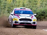 12 Johnnie Mulholland & Eoin Treacy Ford Fiesta Rally4