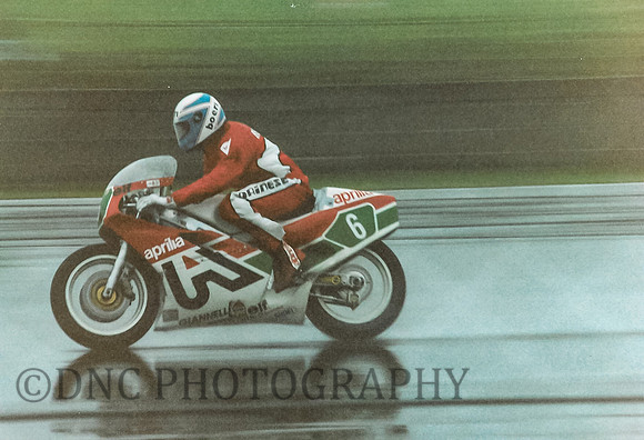 Loris Reggiani Aprilia Rotax 250