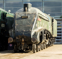 60010 Dominion of Canada