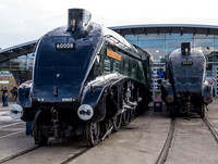 60008 & 60010