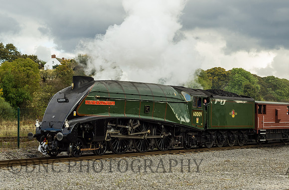 60009 gives brake van rides