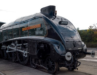 60008 Dwight D Eisenhower