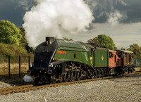 60009  brake van rides