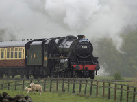 LMS Black 5 5428 Eric Treacy 13.30 ex Grosmont 8th May
