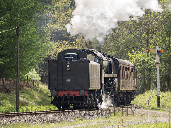 BR 9F 92134 passes Plate layers Cottages 10th May 12.00 ex Pickering