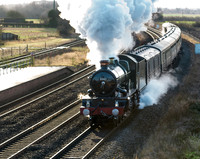 5043 Earl of Mount Edgcumbe The Christmas White Rose approaches Ulleskelf