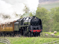 BR 9F 92134 approaching Moorgates 15.30 ex Grosmont 12th May