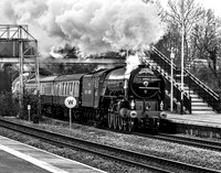 A1 60163 Tornado passing Church Fenton.