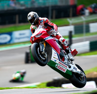 Jason O'halloran Honda CBR1000RR