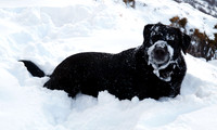 Max Ben Nevis 07.02.09