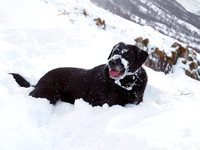 Max Ben Nevis 07.02.09