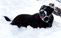 Max Ben Nevis 07.02.09