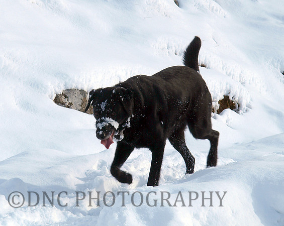 Max Ben Nevis 07.02.09