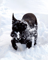Max Ben Nevis 07.02.09