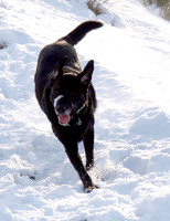 Max Ben Nevis 07.02.09