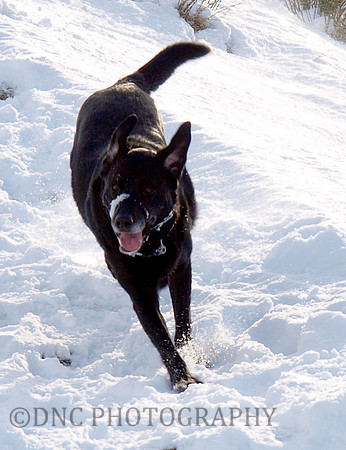 Max Ben Nevis 07.02.09