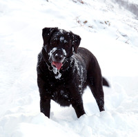 Max Ben Nevis 07.02.09
