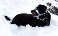 Max Ben Nevis 07.02.09