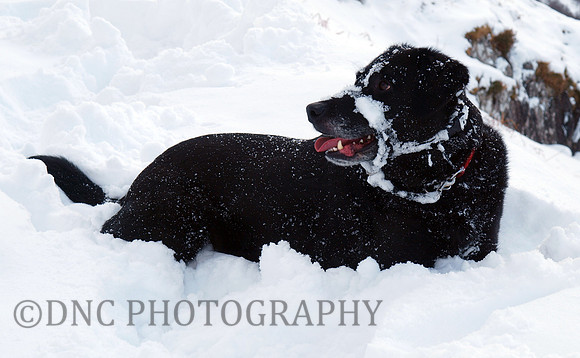 Max Ben Nevis 07.02.09
