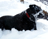 Max Ben Nevis 07.02.09