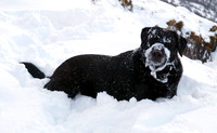 Max Ben Nevis 07.02.09